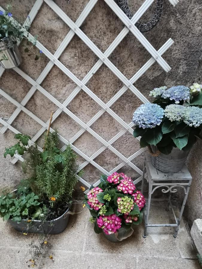 Le Nid De La Loire Apartman Blois Kültér fotó
